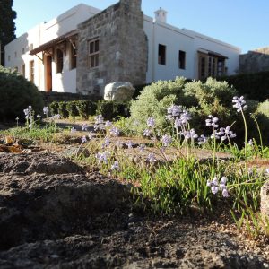 Υποτροφία για μεσογειακά πολιτιστικά έργα, από το Ίδρυμα Marc de Montalembert