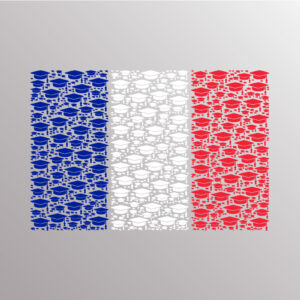 Ημέρα του εξεταστή & Έκθεση βιβλίων για τα Γαλλικά διπλώματα γλώσσας 2023