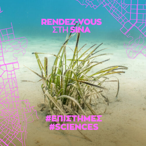 Στρογγυλή τράπεζα: Προστασία, διατήρηση και αποκατάσταση των θαλάσσιων λιβαδιών